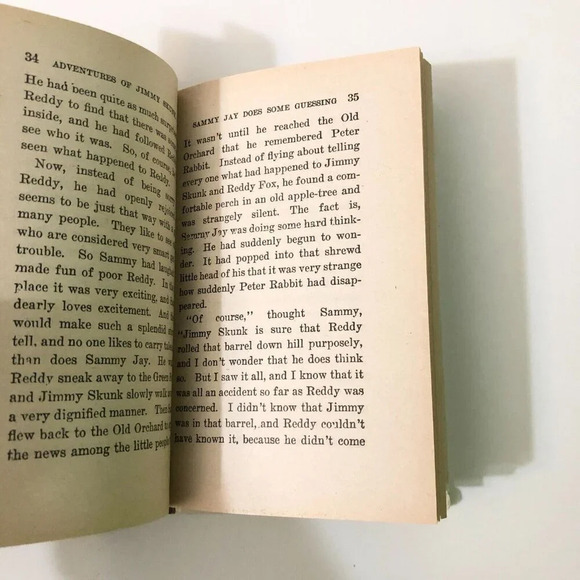 Vtg  The Adventures of Jimmy Skunk Thornton Burgess Bedtime Story Book - Picture 14 of 16